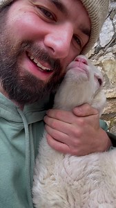 557K views · 46K reactions | Mamma, Pumbino… mancate molto ma qui la...