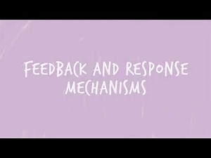 Feedback and Response Mechanisms: MEAL DPro Starter