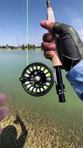 Tips using A fly Rod for fly fishing#fishing#paratiiiiiiiiiiiiiiiiiiiiiiiiiiiiiii#viealvideotiktok#viraltiktok#tiktokshop