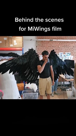 Tail Company on TikTok