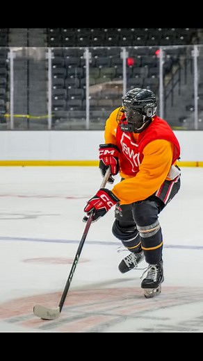 Brandon Wheat Kings Hockey Club (WHL) on Reels