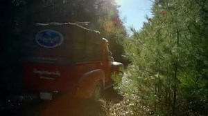 22K views · 3.7K reactions | Merry Christmas, fans! | Ocean Spray | Facebook