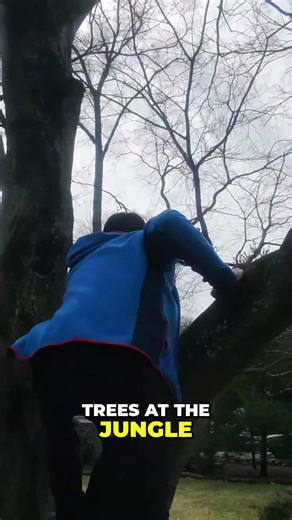 Watch This Robot Climb Trees! INSANE Jungle Gym Challenge #shorts
