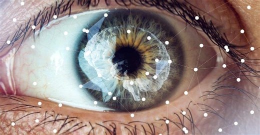 Mind blindness decoded: people who can’t see with their ‘mind’s eye’ still activate their visual cortex, study finds – Lifeboat News: The Blog