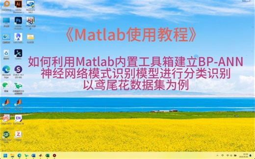 利用Matlab内置工具箱建立BP-ANN神经网络模型进行分类识别-以鸢尾花数据集为例