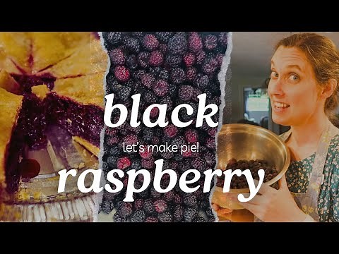 How to Make a Quick and Easy Black Raspberry Pie
