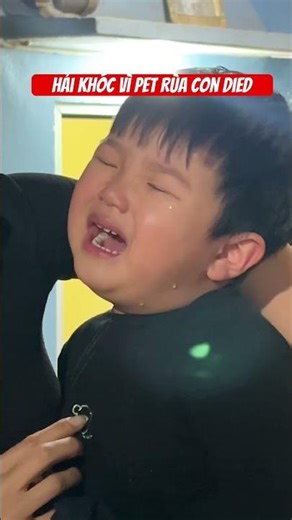 TDH-Hải khóc vì Pet rùa con died