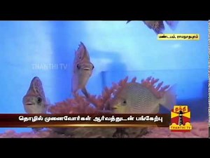 Training About Color Fish Farming Begins in Ramanathapuram - Thanthi TV