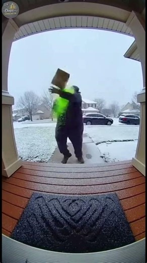 Package Thief Panics — Tosses the Box and It EXPLODES 😱🎨 #funnyfail #funny #paintexplosion