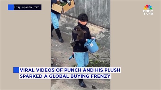 A baby Japanese macaque named Punch has gone viral after adopting an IKEA orangutan plush toy as his mother figure. Abandoned at Japan’s Ichikawa City Zoo, the seven-month-old found comfort and strength clinging to the stuffed toy. Videos of the adorable bond sparked a global rush for the same IKEA plush, which has reportedly sold out in multiple countries. #IKEA #ViralStory #BabyMonkey #Macaque #CuteNews #ZooLife #PlushToy #Trending #CNBCTV18Digital | CNBC-TV18