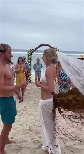 Bride's dress failed from the back and the whole wedding went into panic mode 👰💍#microdrama #weddingtok #chaos #caughtoncamera #viralvideo