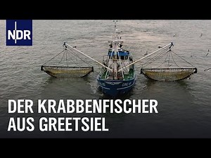 Knochenjob auf dem Krabbenkutter | Die Nordreportage | NDR Doku