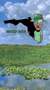 Surviving hurricane season in Florida #hurricaneseason #florida #omgitswicks #floridian | Omgitswicks