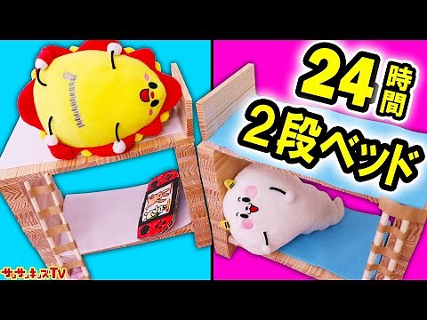 24時間2段ベッドチャレンジ！落ちたら負け！憧れの秘密基地で大はしゃぎ！親子向け知育教育★サンサンキッズTV★