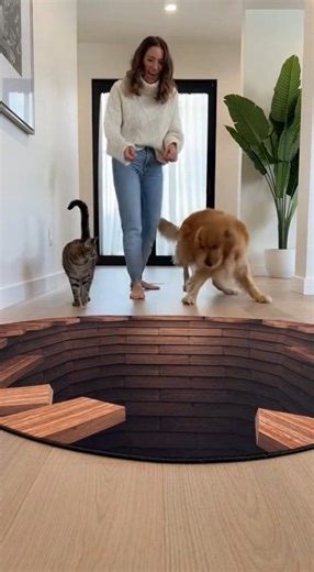 Watch my Golden Retriever get hilariously tricked by this amazing 3D optical illusion rug that looks like a giant hole in the floor! His reaction is priceless. Then, the cat walks right over it like a boss! Who is the bravest pet? 🤣#DogLife #FunnyAnimals #love #shorts #FunnyDogs #BigDogLittleDog #CutestPets | The real danger of chewing gum at school isn't being caught by your teachers, its being caught by your friends