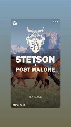 3.5K views · 121 reactions | Post Malone on Reels | Facebook