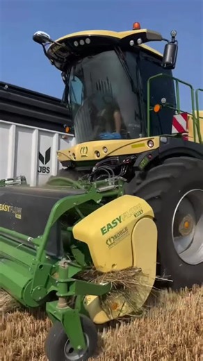 Chopping triticale. #krone1180 #hayfarming #farming #youtubeshorts
