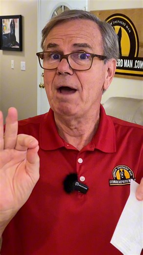 Avoid PROBLEMS…German Shepherd Puppy Training # # # | German Shepherd Man