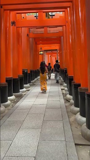 Fushimi İnari, Kyoto Japon🇯🇵 #伏見稲荷大社 #伏見稲荷大社⛩️ ❤️