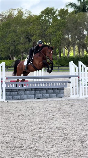 wow. #belle #foryoupage #fyp | belle movie