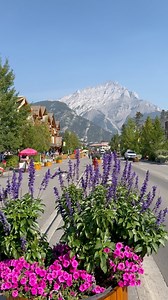 304K views · 9.8K reactions | Banff Avenue, Banff, Alberta, Canada  #explorealberta #alberta #banff #banffnationalpark #canada #banffavenue #banfftown | Explore Alberta | Facebook