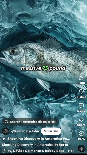 16 Million Views Antarctica 2024 Discovery Debunk #antarctica #debunk #science #archaeology