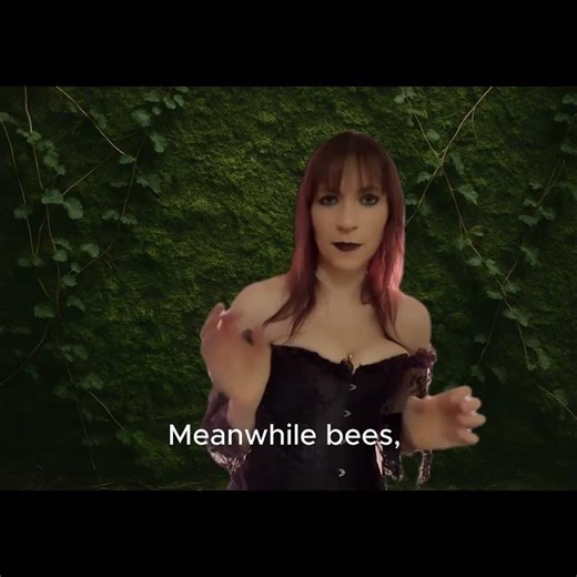 Deadly Tarantulas.... Facts vs Myth