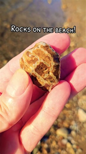 Lake Michigan Rocks!