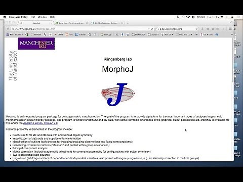 MorphoJ Tutorial 1- 4ED3 (Evolutionary Developmental Biology)
