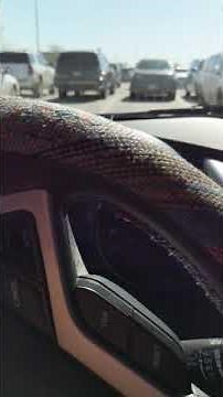 Hyundai Veloster Won't Drive or Go in Reverse! (At First.)