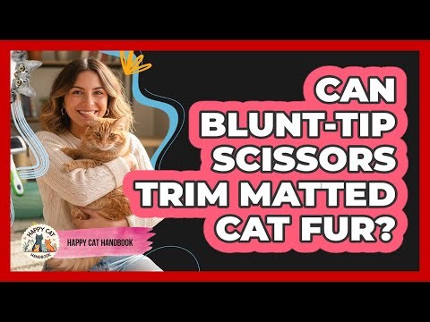 Can Blunt-Tip Scissors Trim Matted Cat Fur?