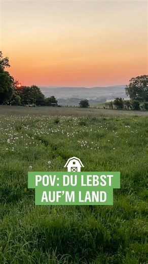 Was ist für euch das Beste am Leben auf’m Land? 💚 #NDRaufmLand #Landleben #Land | NDR auf'm Land