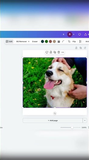 Fix Cropped Images & Create Seamless Backgrounds with Canva AI #CanvaAI #PhotoEditing #Graphic