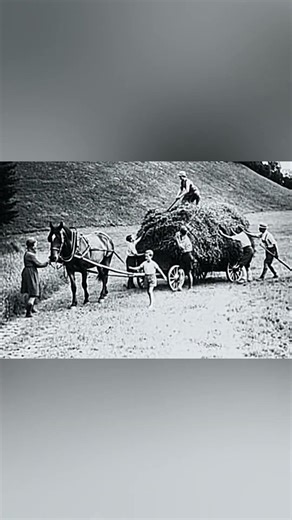Horse-Drawn Wagons and Handwork Built These Alpine Farms #AustriaHistory #FarmingTradition