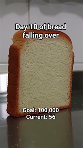 day 10 of bread falling over #bread #falling #ovee #breadfallingover