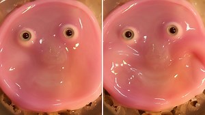 4.1K views · 16 reactions | WATCH: The biohybrid robot specialists hope this technology will eventually contribute to the creation of androids with human-like appearances and abilities. | TODAY | Facebook