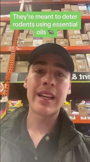 Are those popular rat and mouse repellents from Home Depot really effective? We took them for a test