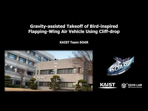 Gravity-assisted takeoff of bird-inspired flapping-wing air vehicle using cliff-drop