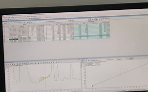 GC-MS Tutorial - Data Processing Part 2 - Agilent 7000D GC-MS With MassHunter So