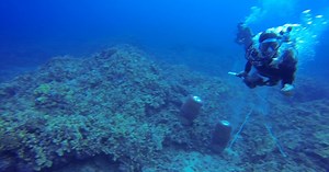 Underwater Assault: Scuba Diver Attacked