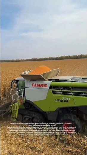 Efficient Corn Harvest Using Modern Combine Harvester #heavymachinery #farming #agriculture #farm