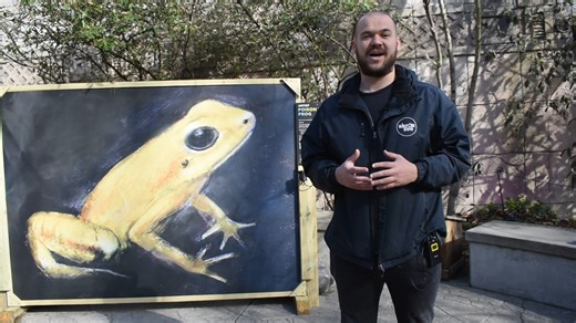 Watch as Creative Programs Supervisor, Joe Soriano, explains what goes into executing an exciting new event like Wildlife Illuminated. Purchase your tickets today for this awe-inspiring event of animals, art and light! Buy your tickets in advance to save: https://www.akronzoo.org/wildlife-illuminated Wildlife Illuminated runs on select nights from April 4 - June 1. | Akron Zoo