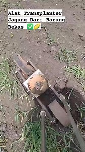 201K views · 1.4K reactions | Cara Mudah Tanam Jagung Dengan Alat Transplanter #cara #tips #jagung #corn #petanijagung #farming #gardening #agriculture #infopertanian #alatpertanian | Gufi Angez Anges | Facebook