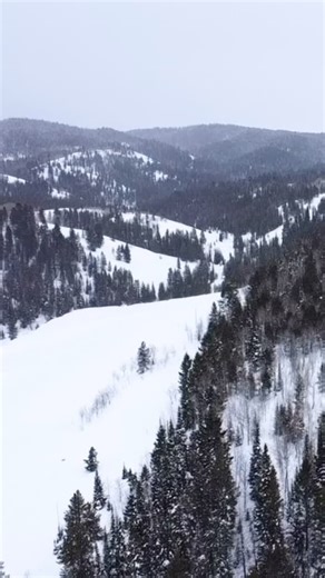 Star Valley, WY turns into a whole new world in winter ❄️ With over 360 miles of groomed and ungroomed snowmobile trails, Afton is the perfect basecamp for your next cold-weather adventure. | Visit Afton