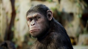 Scientists splice HUMAN genes into monkey brains in terrifying experiment