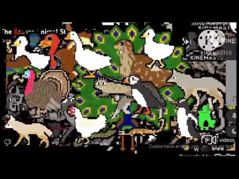 Animal stampede, the kids picture show ￼