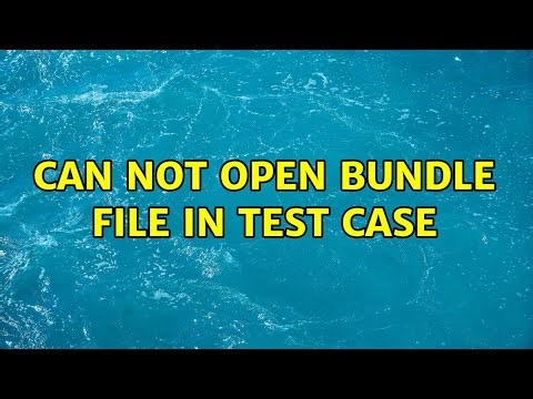 Can not open bundle file in test case