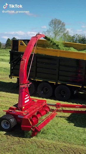 Embarrassing Moments on the Farm