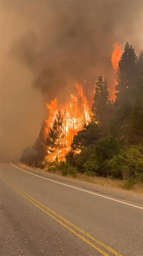 Lola |travel | Bariloche on Instagram: "Conciencia ante todo: NO HAGAMOS FUEGO 📛 🔥 Mientras algunos prenden fuego, otros lo dan todo para apagarlo. No hagas fuego. Gracias @maxijonas por visibilizar, la cobertura increíble poniendo el cuerpo y a los brigadistas, bomberos, vecinos héroes sin capa. 🙏🔥 que enfrentan jornadas extremas, cansancio y peligro para frenar el avance de las llamas. Ojalá puedan compartir así más personas se enteran de lo que está pasando, se necesita MUCHA AYUDA ❤️ Ani