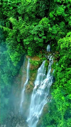 Peaceful Rainfall | Relaxing Nature Sound